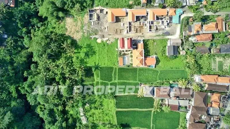Tanah Los Sungai Tirta Tawar Ubud Gianyar Bali - Image 2 of 10