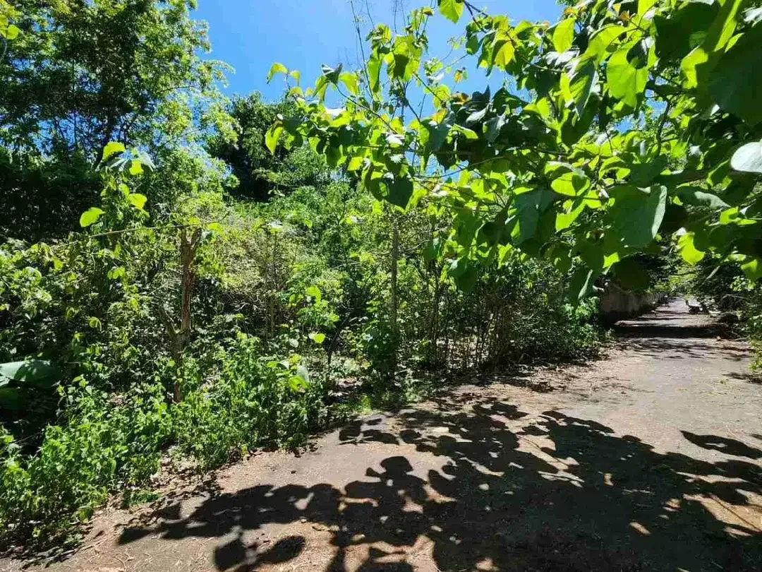 Di jual tanah bagus dekat hotel savaya dan Alila Pecatu sangat cocok untuk resort dan komplek villa - Image 4 of 5