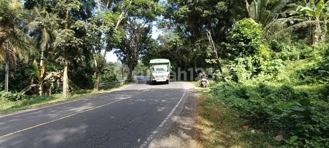 Tanah Pinggir Jalan Denpasar Gilimanuk Dekat Pantai Tabanan Bali - Image 1 of 4