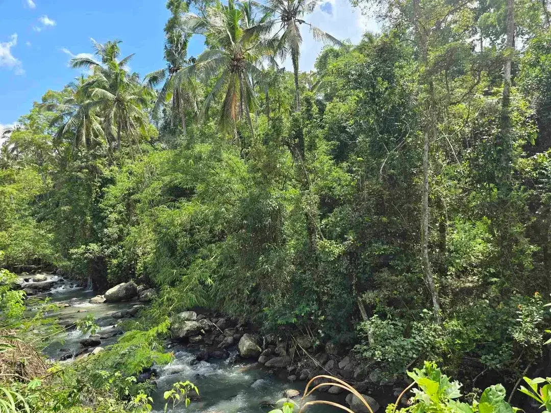 dijual tanah kecil los sungai air jernih bebatuan di penebel tabanan bali - Image 2 of 10