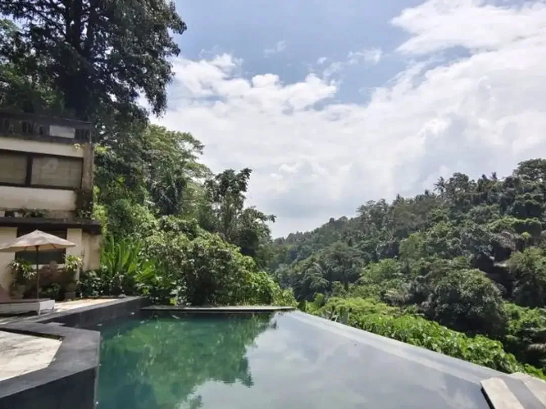 TANAH BONUS BANGUNAN HOTEL DI KEDEWATAN UBUD - Image 4 of 9