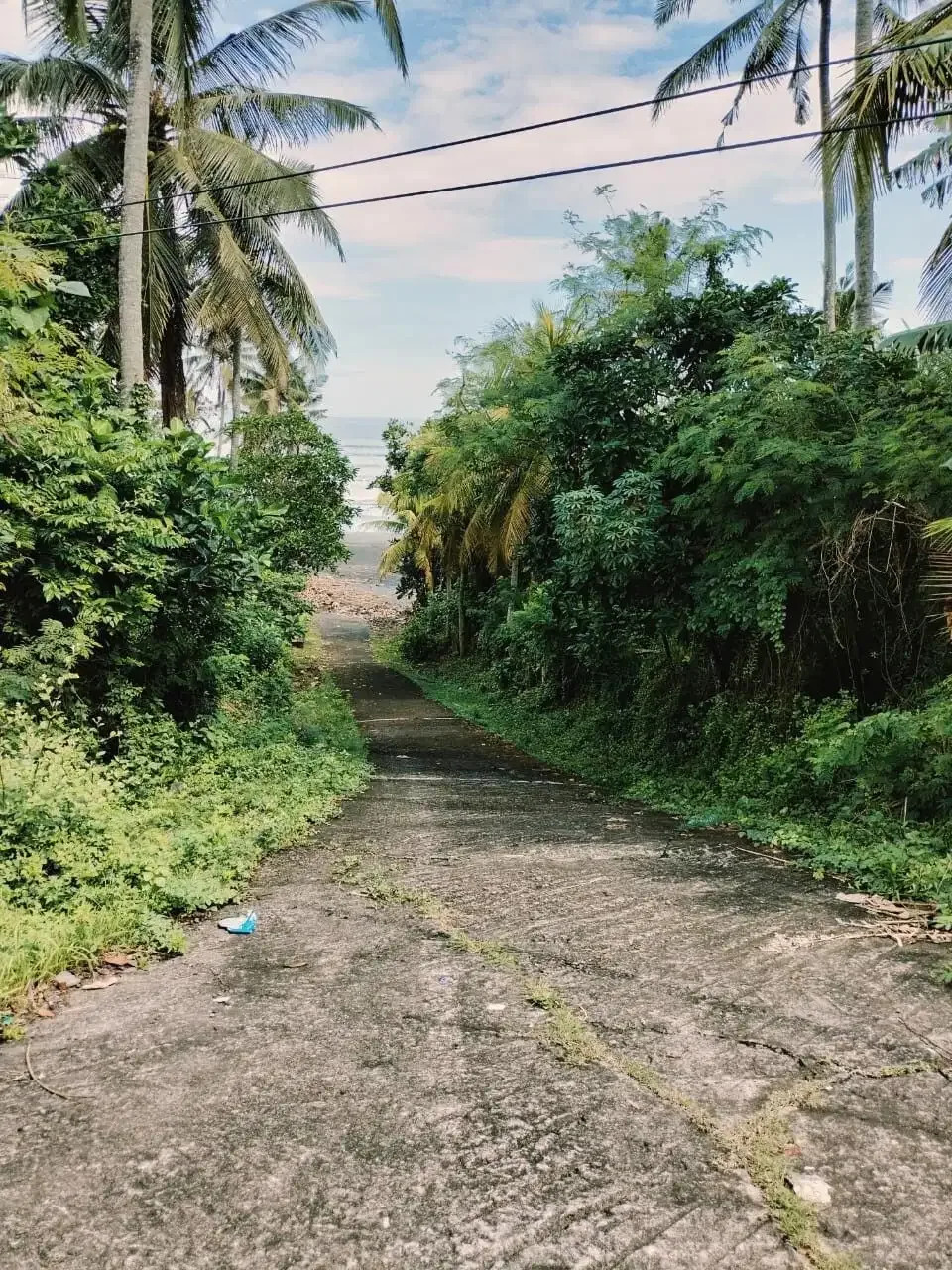 Dijual Tanah Prime Beachfront di Pantai Soka, Antap, Tabanan - Image 5 of 6