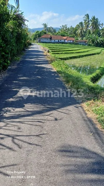 Tanah Balian Beach 7200m2 SHM - Image 2 of 4