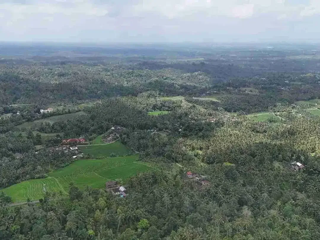 jual tanah di apit dua sungai di desa wisata manikyang, selemadeg tabanan bali. - Image 8 of 10