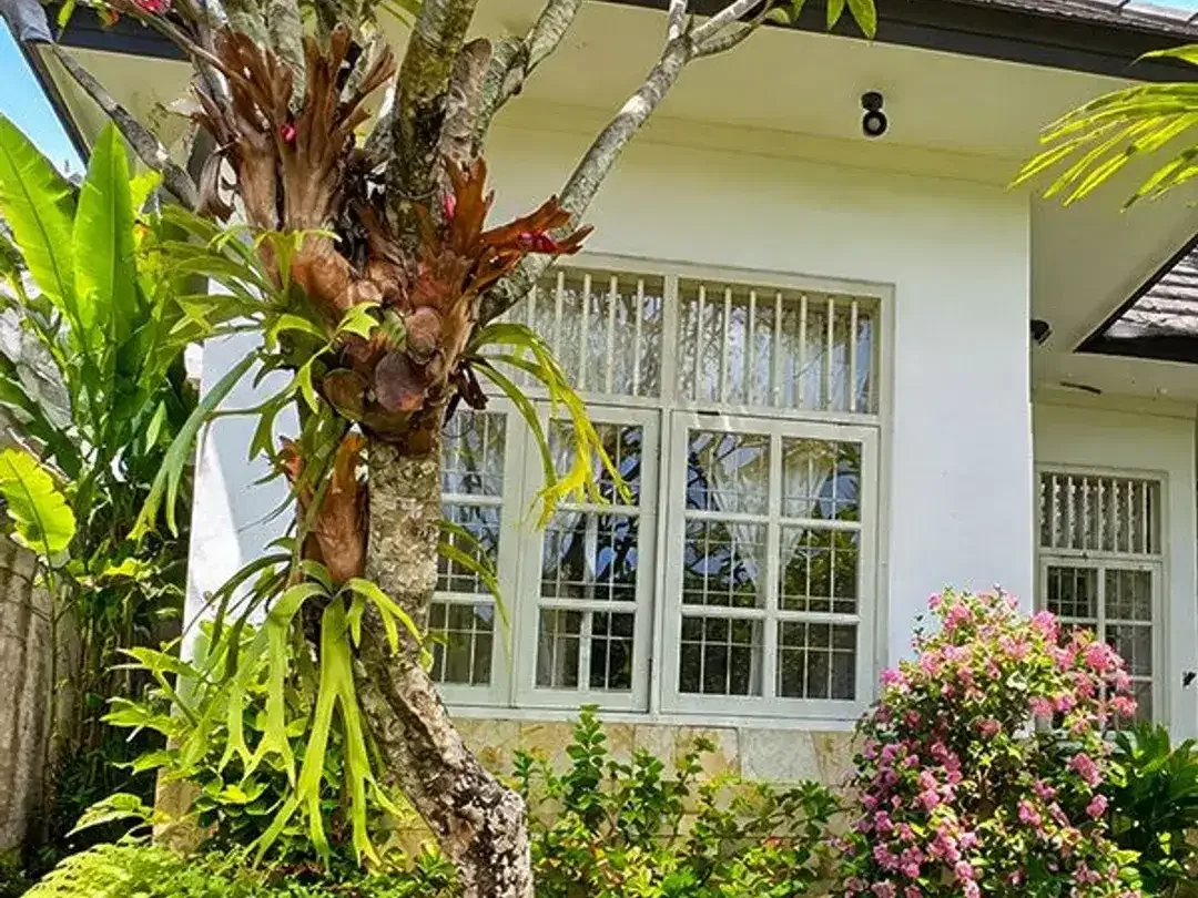[ AMS-037.IWN] Dijual Rumah Taman Griya Nusa Dua - Bali - Image 2 of 10