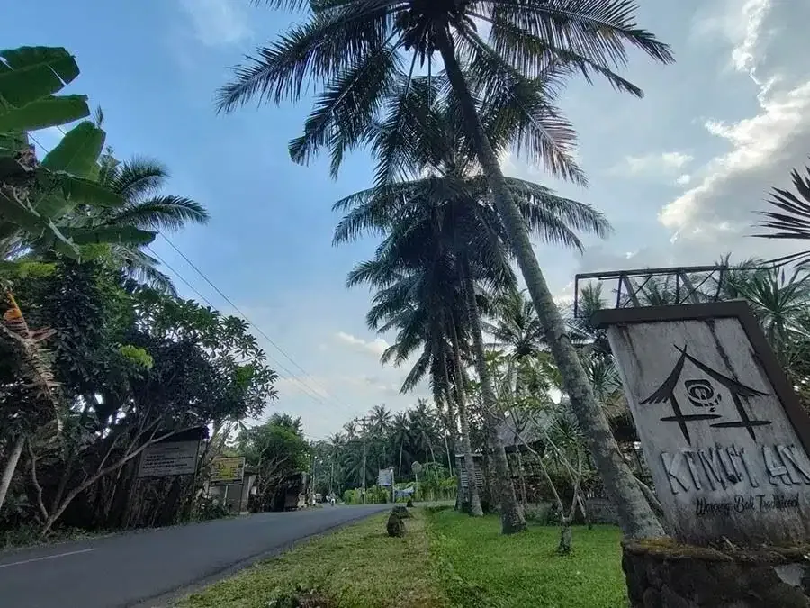 TANAH LOS SUNGAI JUNGLE VIEW DEKAT GREEN SCHOOL ARAH UBUD BALI - Image 5 of 10