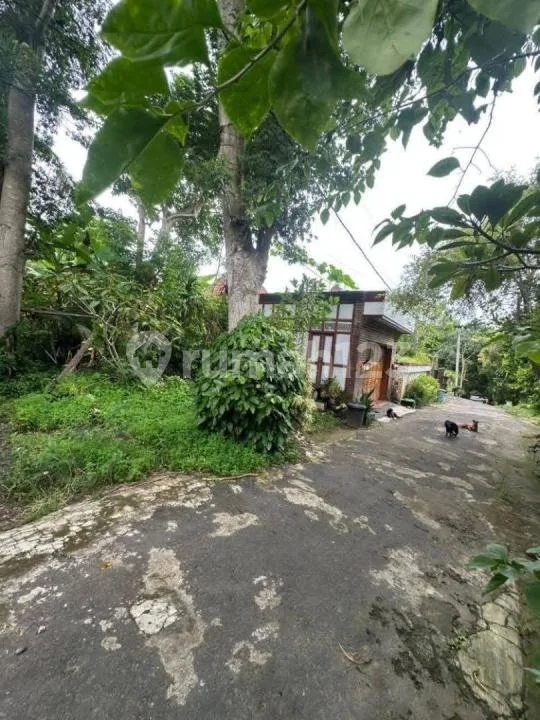 Tanah Bagus Sangat Langka Cocok di Bangun Villa atau Investasi Lainnya - Image 3 of 4