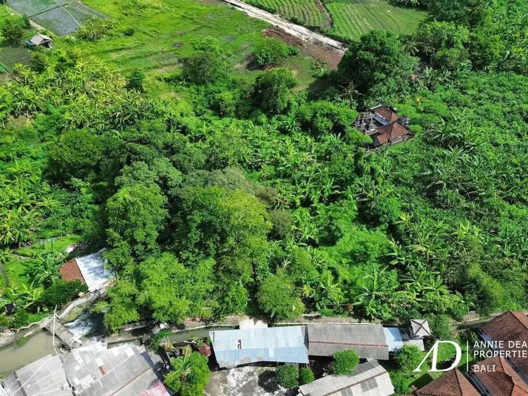 FREEHOLD & LEASEHOLD LAND OPPORTUNITY IN PADONAN - CANGGU - Image 8 of 10