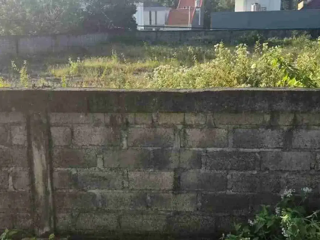 Di sewakan tanah bagus cocok untuk bangun villa sudah tembok keliling siap bangun - Image 5 of 5