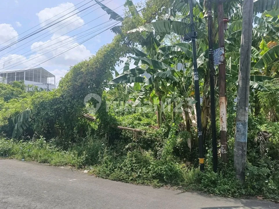 Tanah Dekat Sunset Road Bagus untuk Guest House - Image 1 of 4