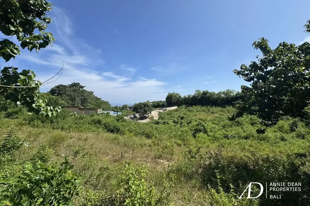 FREEHOLD LAND IN PECATU WITH OCEAN VIEW - PRIME FOR VILLA DEVELOPMENT - Image 3 of 6