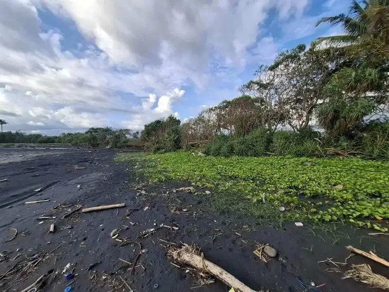 Dijual tanah murah los pantai di pasut tabanan bali - Image 5 of 8