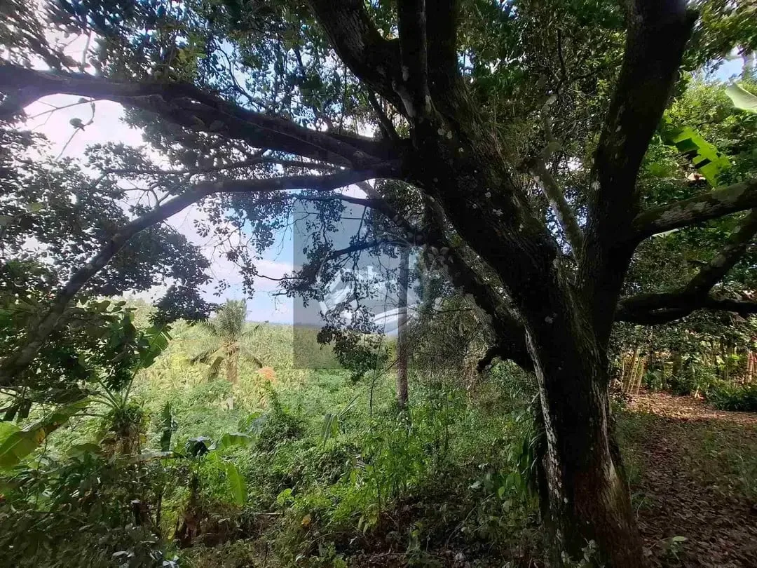 Dijual tanah strategis di kawasan wisata dekat akses jalan denpasar gilimanuk dengan view laut dan los sungai jernir berbatu - Image 5 of 10