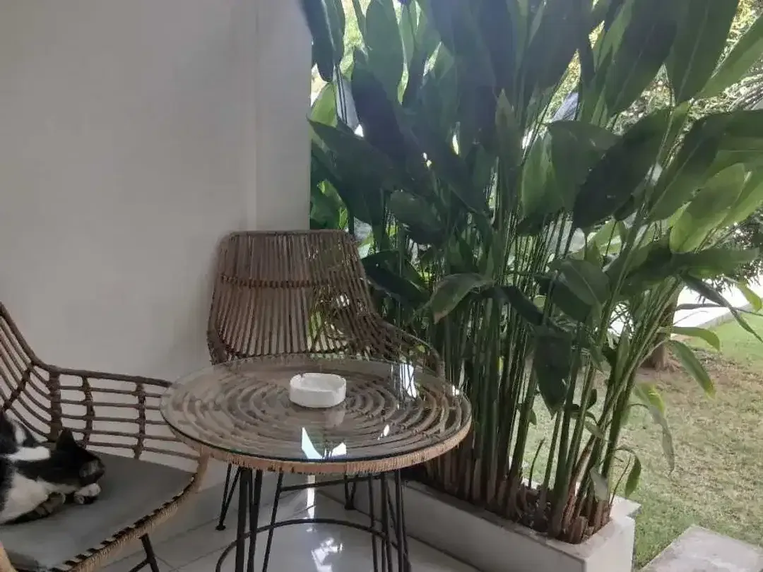 5 Bedroom Villa for sale in Ungasan, Bali - Image 4 of 10