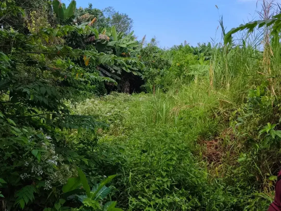 DIJUAL / DISEWAKAN TANAH PREMIUM DAN EKSLUSIF DEKAT PANTAI DI KERAMAS, GIANYAR - Image 3 of 10