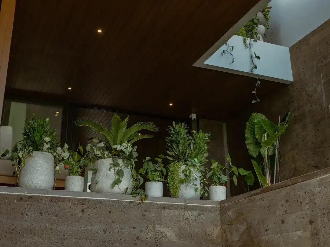 Rare FREEHOLD Opportunity! Modern & Smartly Designed Villas in Canggu, Bali - Image 8 of 10