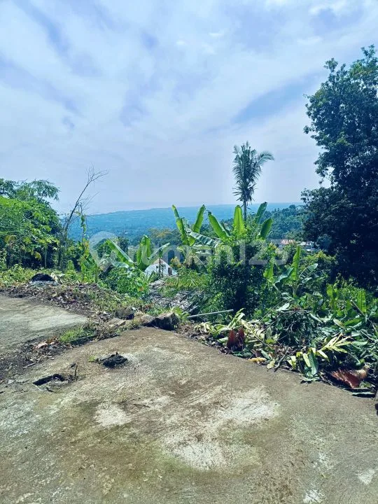 Direc Owner For Sale Premium Land And Local Ocean View House 2 Br In Aspal Road And City Light View - Image 3 of 4