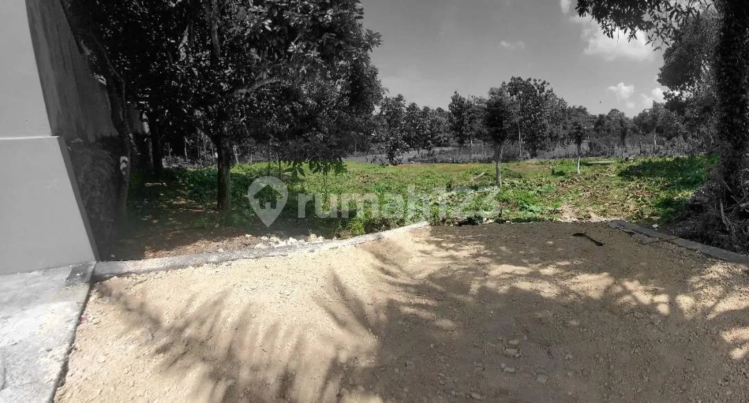 Big Plot Land In Uluwatu Suitable For Cluster Villa - Image 4 of 4