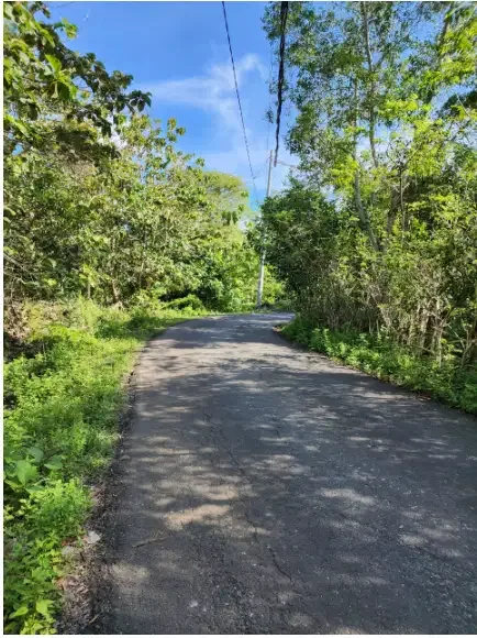 Land for sale at Pecatu - Image 3 of 10