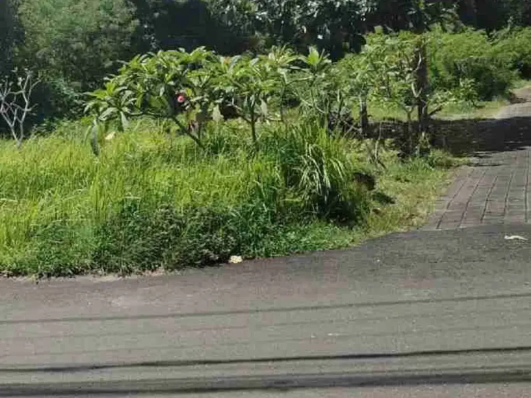 tanah murah kutuh Kuta selatan bali - Image 4 of 7