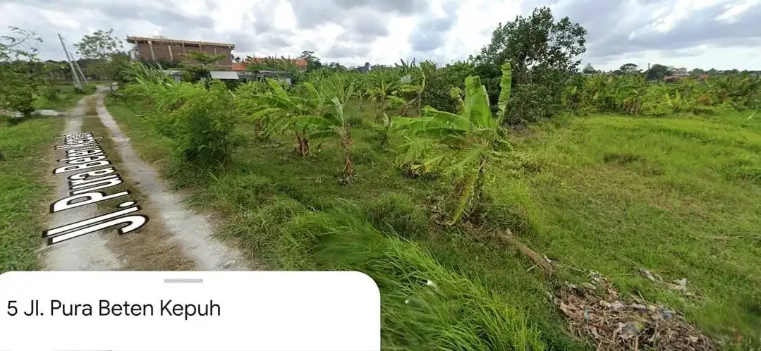 Tanah Murah Jl Pantai Berawa Canggu - Image 2 of 4