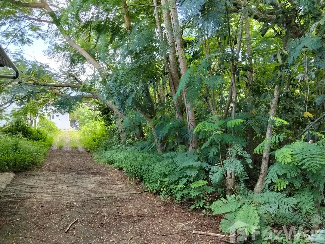 Land for sale in Uluwatu, Bali - Image 4 of 5