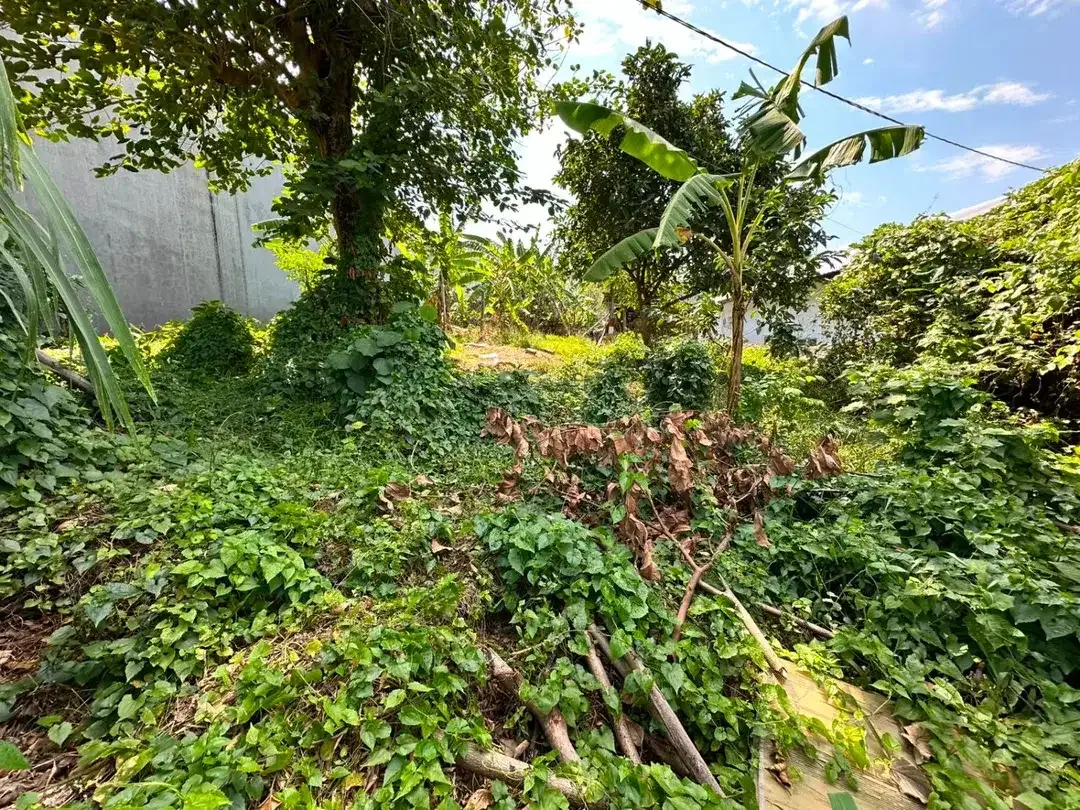 TANAH KOSONG DI PONDOK INDAH CARGO UBUNG DEKAT RUMAH SAKIT - Image 5 of 9