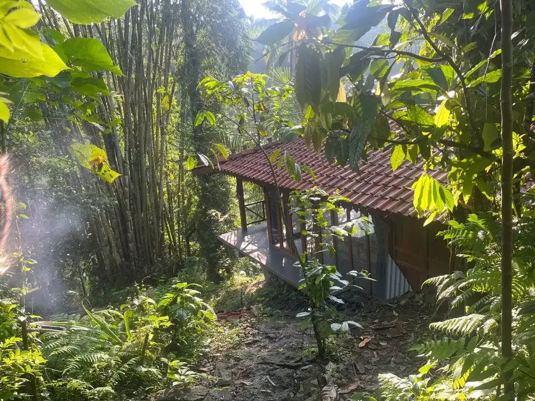 DIJUAL / DISEWAKAN – RESTO & VILLA KAYU DI JATILUWIH, TABANAN, BALI - Image 9 of 9