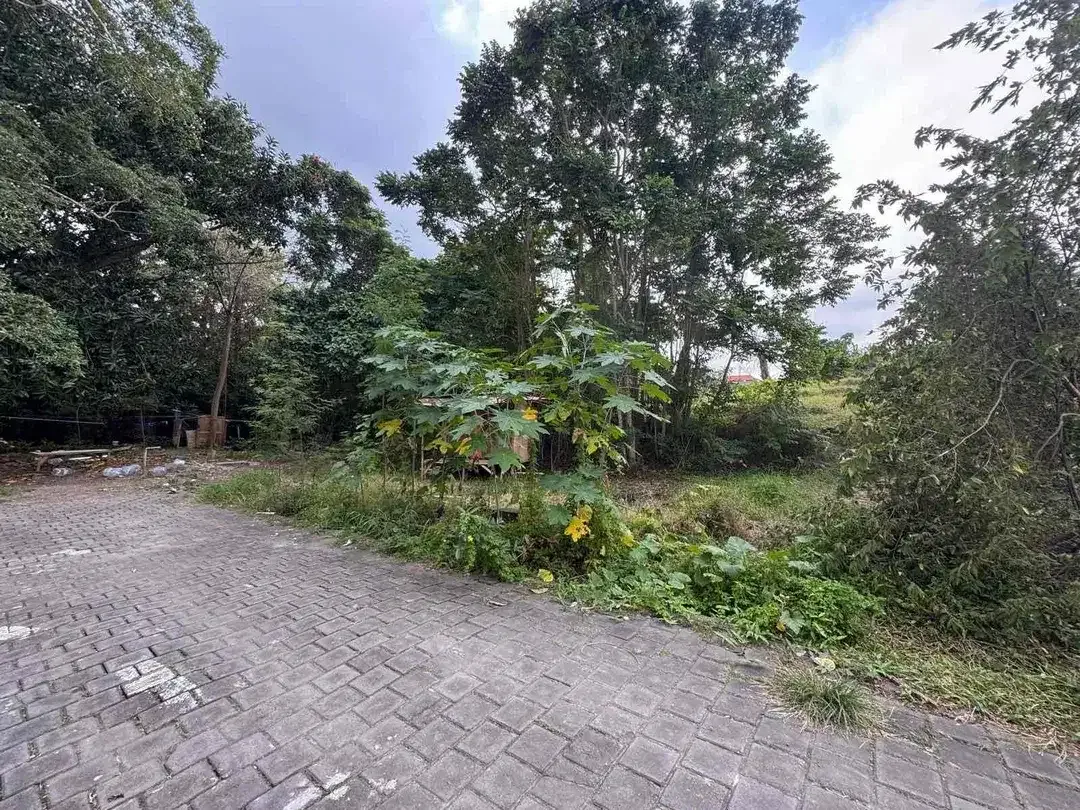RARE SMALL PLOT LAND AT TUMBAK BAYUH CANGGU - Image 5 of 6