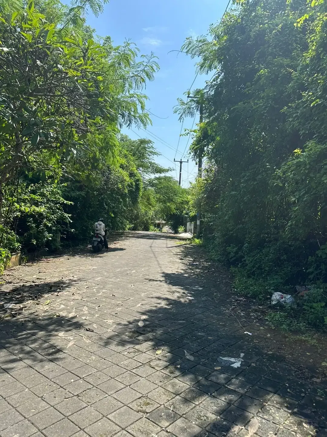Tanah Premium Jl Taman Kebo Iwa Benoa Nusa Dua - Image 3 of 8