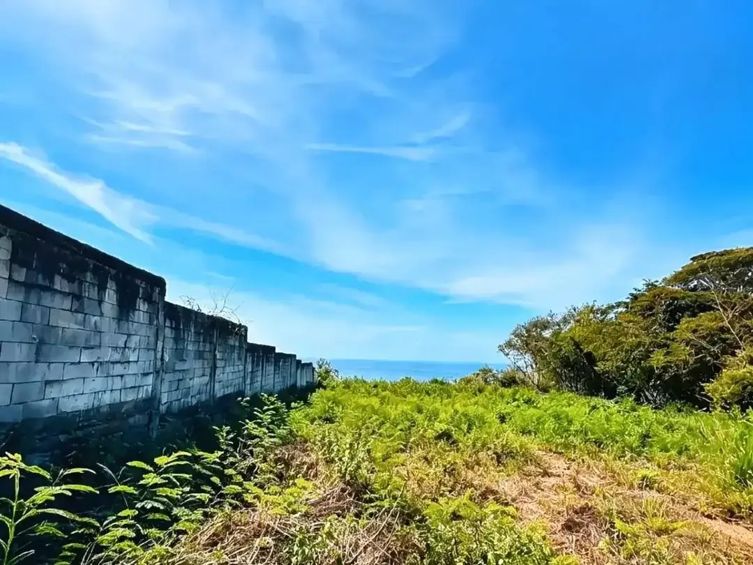 Tanah Tebing Pantai Padang Padang Uluwatu Bali - Image 4 of 10