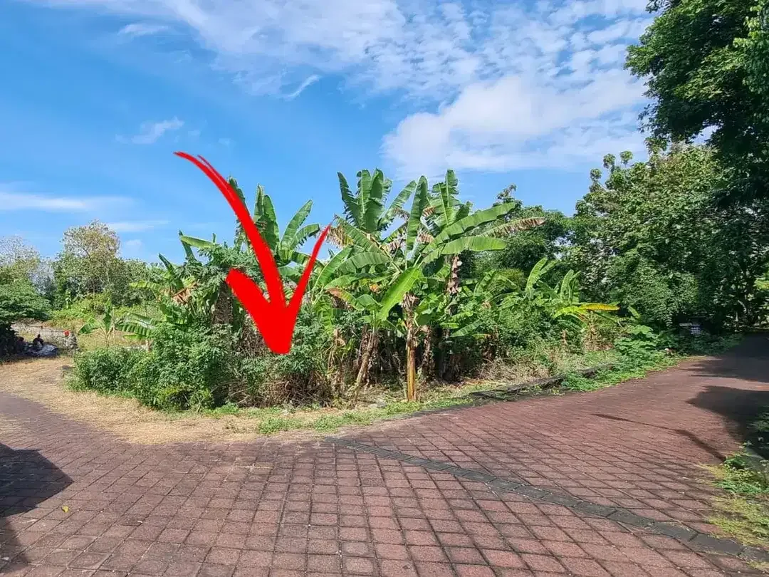 Tanah Nusa dua Luasan Kecil 5 menit ke Pintu Tol Nusa dua Lokasi di Jl Remaja, Taman Mumbul, Benoa - Nusa dua - Image 4 of 9