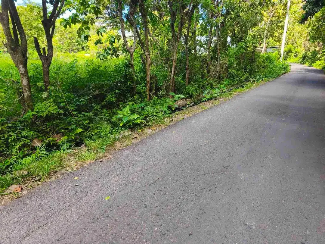 dijual tanah 2035m² IDR 450 juta per are dekat poltekpar Bali STP nusa dua Kuta Selatan Badung Bali - Image 3 of 10
