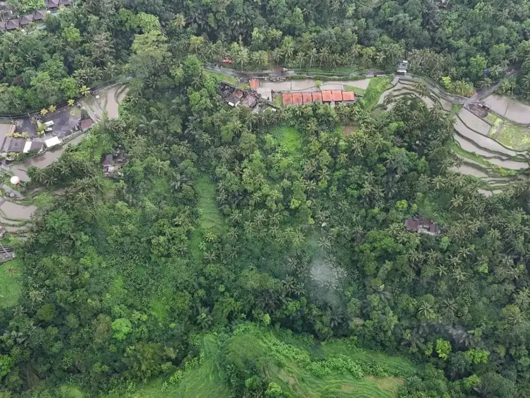Tanah 1,3 Hektar View Sawah dan Jungle Dekat Rice Terrace Ubud - Image 4 of 10