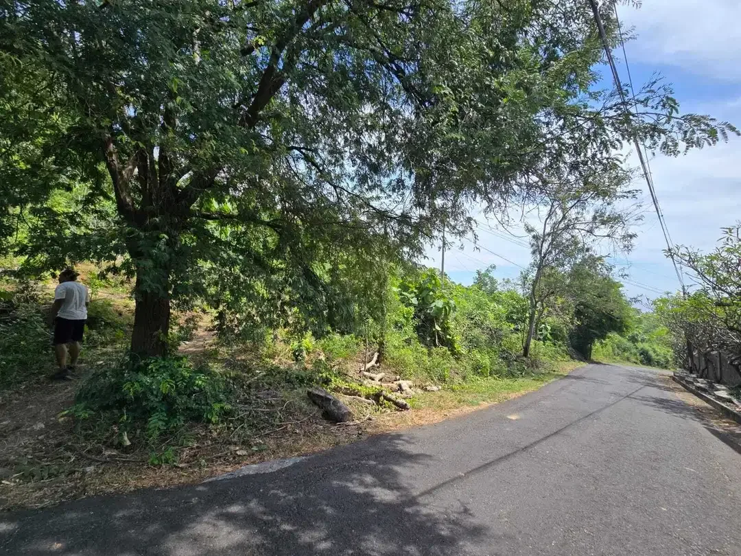 Dijual tanah view laut dekat rencana bali utara - Image 7 of 10