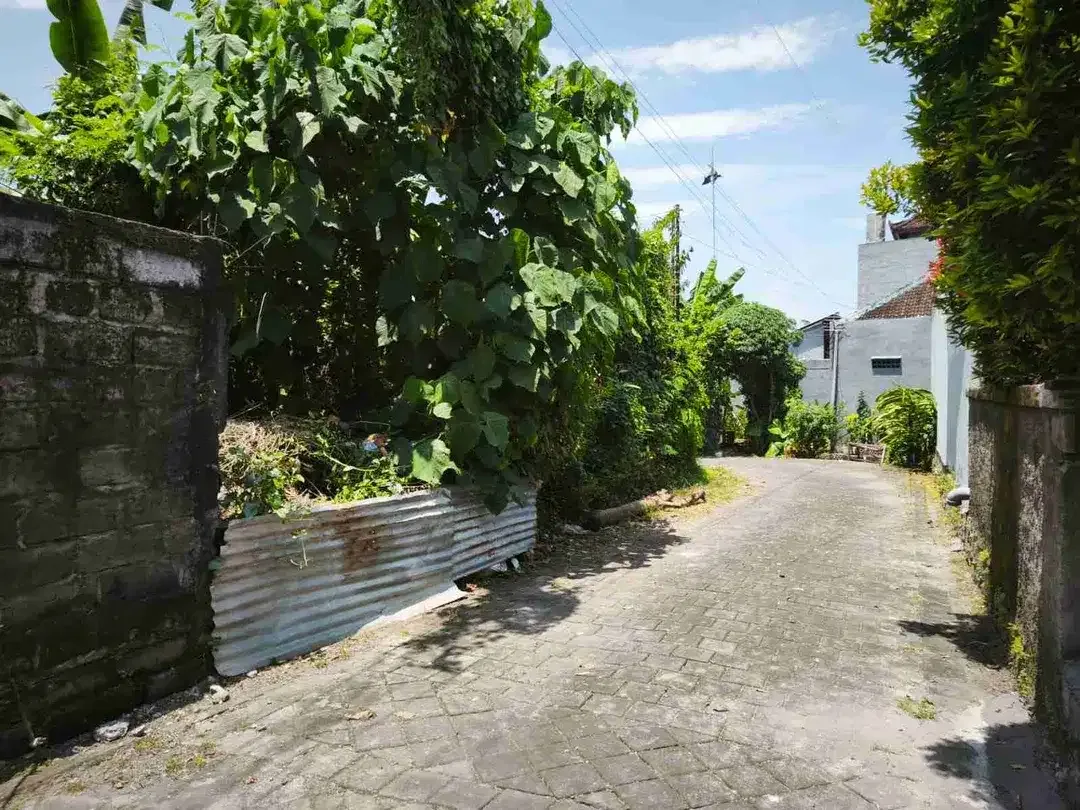 Tanah Datar strategis 15 Menit ke Canggu Bali - Image 10 of 10