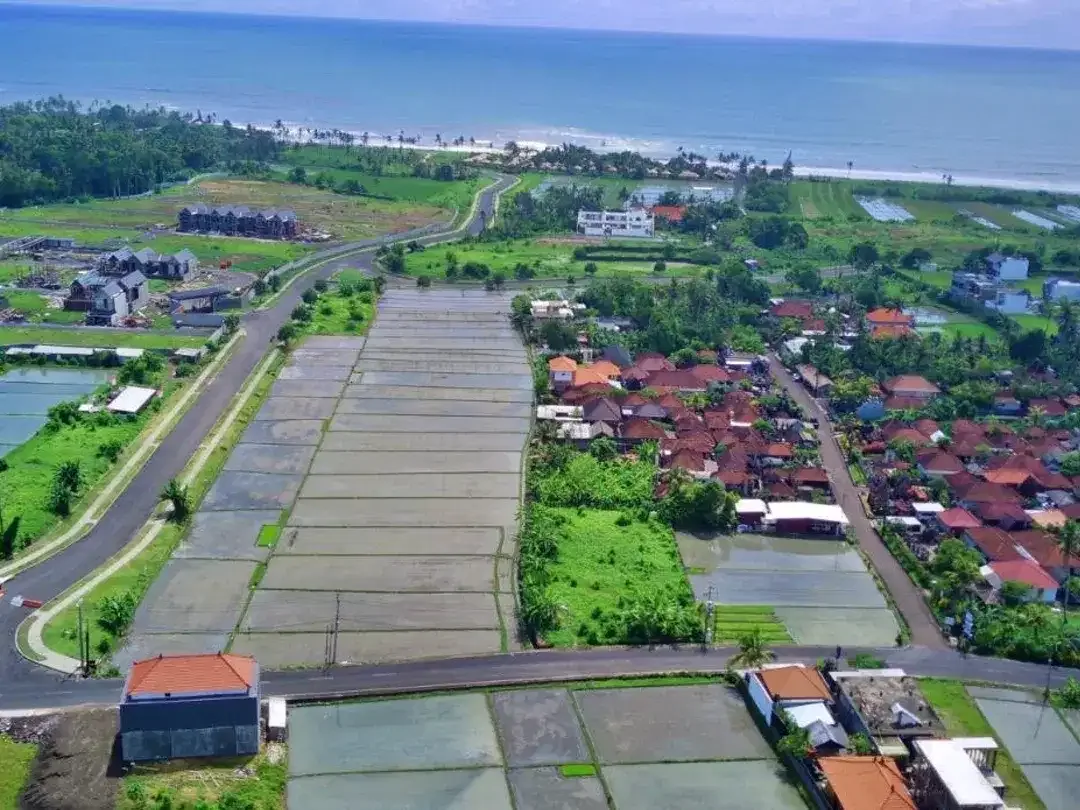 Tanah pangkung tibah tabanan - Image 2 of 8