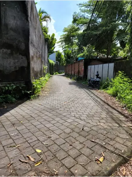 Tanah Murah 12 Are di Berawa Canggu - Image 3 of 9