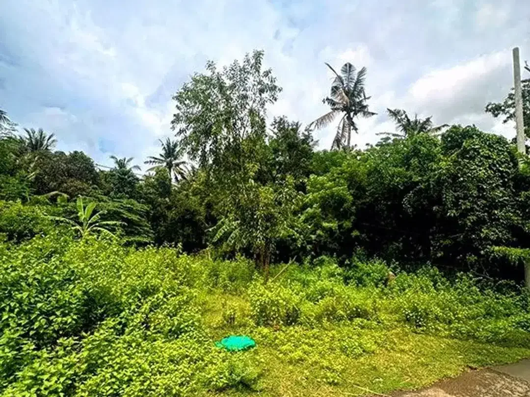 [AMS-018.DKA]  Tanah Premium Dijual Dekat Virgin Beach Bukit Asah Karangasem – Akses Langsung Pantai - Image 9 of 10