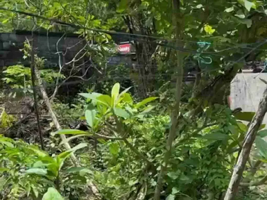 Kavling Komersial Luas 3800m² di Jalur Utama Uluwatu, Prospek Tinggi - Image 1 of 10