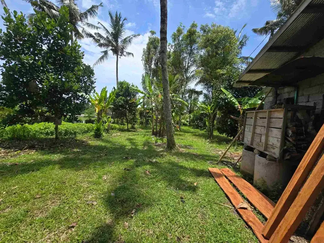 Dijual tanah view sawah zona kuning di kerambitan tabanan bali - Image 8 of 10