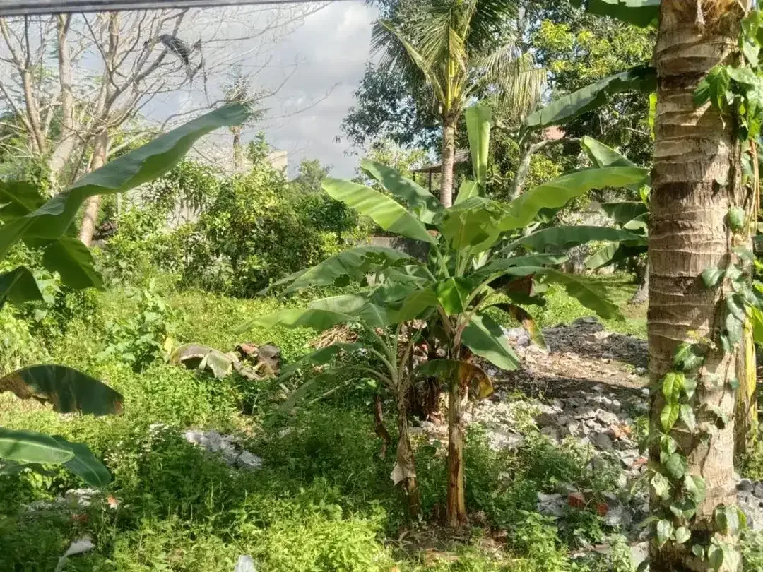 Strategic Land in Desa Wisata Kaba-Kaba For Sale - Image 7 of 10