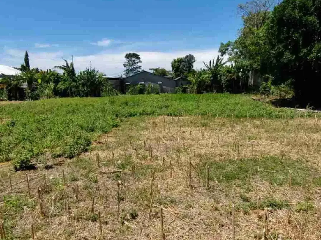 Tanah Leasehold Premium Sanur Area Denpasar Selatan Bali - Image 6 of 9