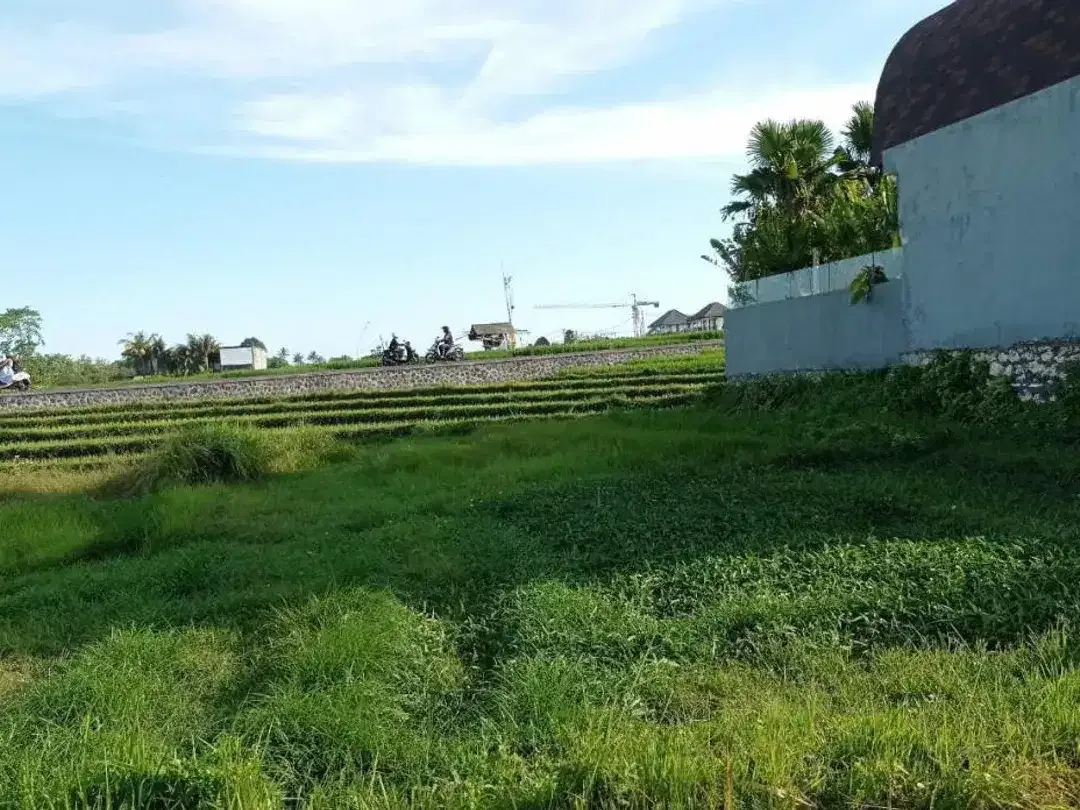 TANAH SUPER PREMIUM WITH RICE FIELD VIEW DI JL SUBAK SARI CENTER CANGGU - Image 2 of 10