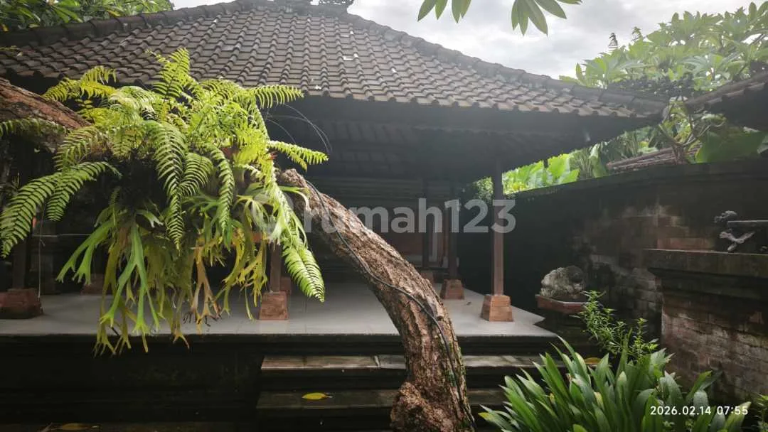 Dijual Tanah Pinggir Jln Utama.wrsupratman - Image 3 of 4