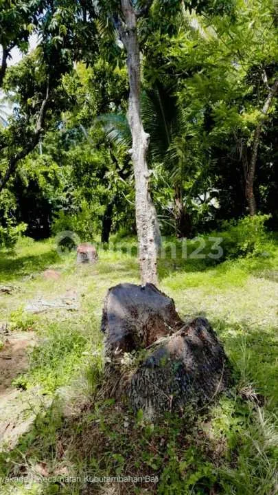 For Sale Beach Front Land In Area Kubutamhan - Image 1 of 4