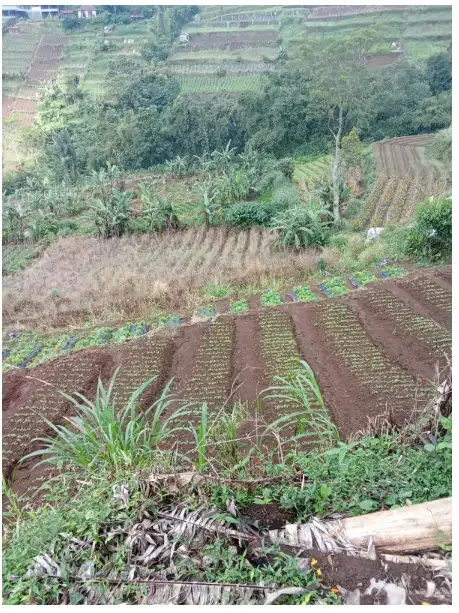 Land for lease at Bedugul Tabanan - Image 6 of 10