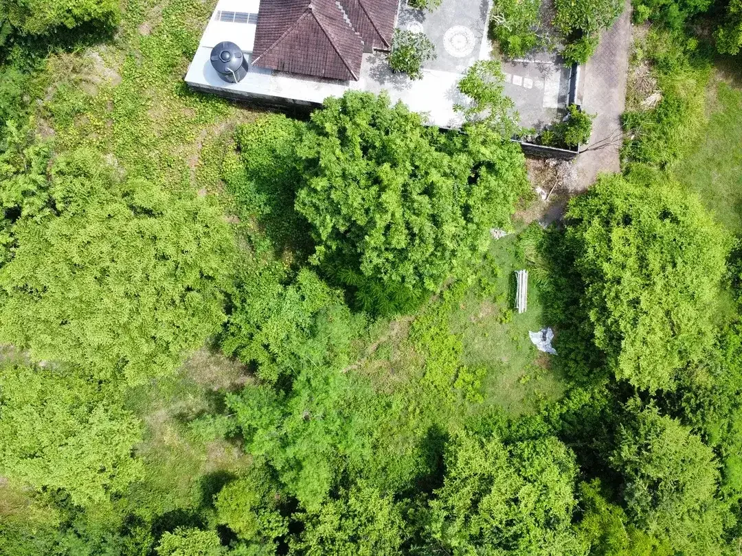 Freehold - Land Near Beach Clubs & Golf Course - Ungasan, South Bali - Image 4 of 4
