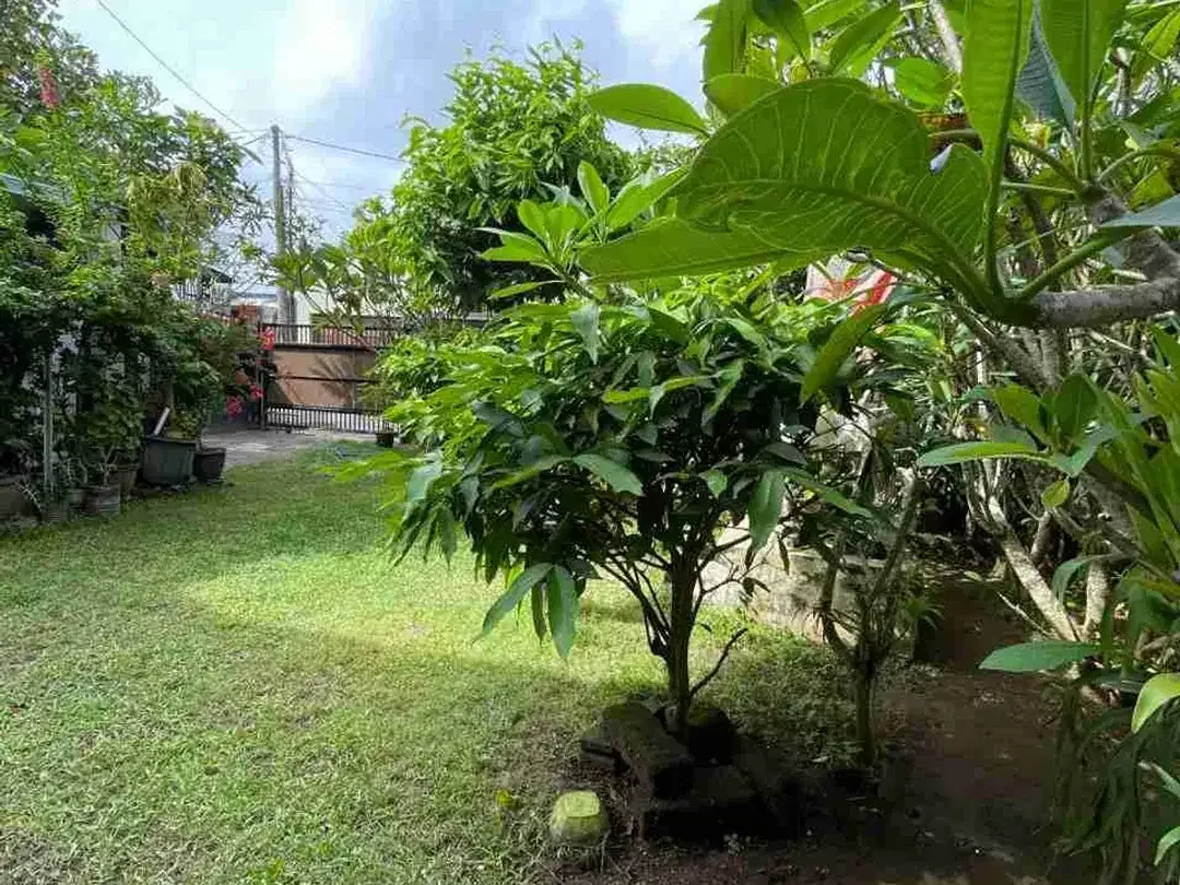 Tanah 200m² Bonus Bangunan Siap Huni Puri Gading Jimbaran - Image 4 of 8