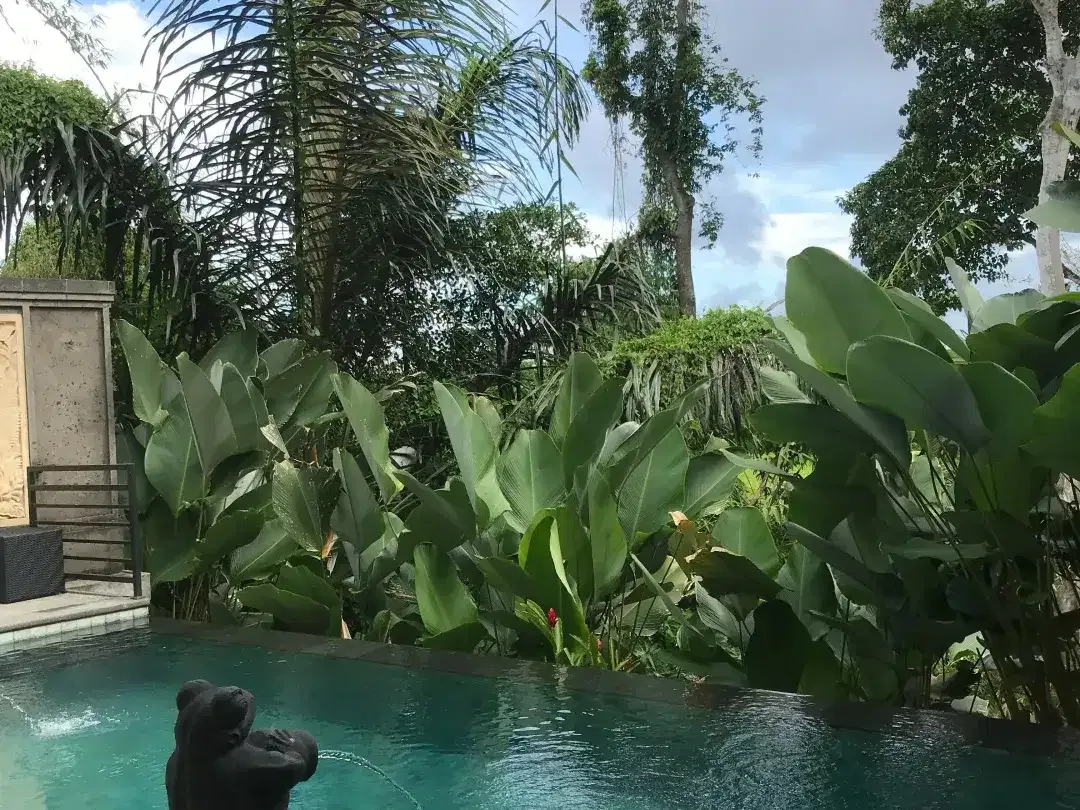 2 Bedroom Villa for sale in Ubud, Bali - Image 9 of 10